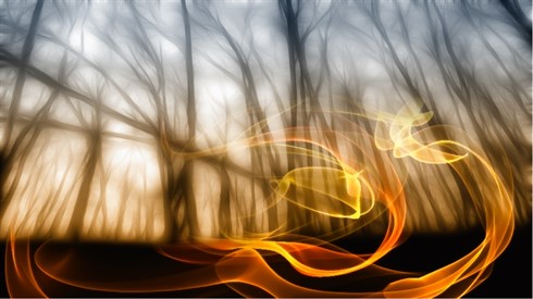 shutterstock_164862452.jpg