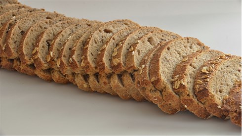 bread no credit.jpeg