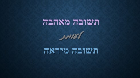 אתר ישיבה / yeshiva.co