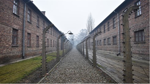 auschwitz-4872532_1920.jpg