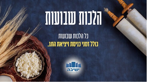 אלקנה כהן