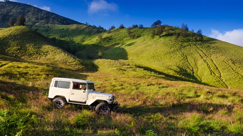 shutterstock_154200812.jpg