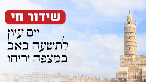אתר ישיבה / yeshiva.co