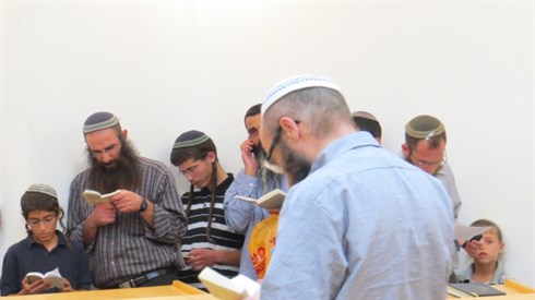 אריה מינקוב (66).JPG