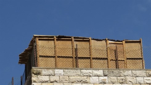 קרדיט לאריה מינקוב (19).JPG