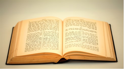 shutterstock_3753769.jpg