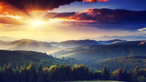 shutterstock_129821300.jpg