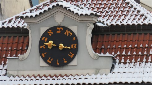 אביעד הר-טוב_0760.JPG
