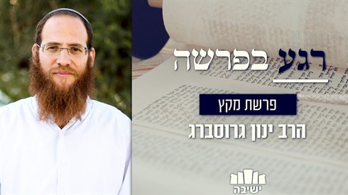 אתר ישיבה / yeshiva.co