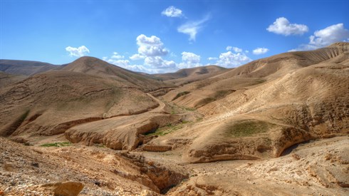 shutterstock_96421544.jpg