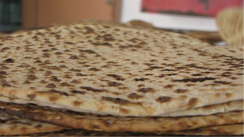 אתר ישיבה / yeshiva.co