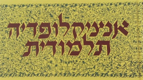 לכידה5.PNG