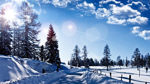 shutterstock_46982965.jpg
