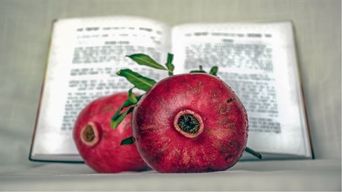 pomegranate-6654590_1280.jpg