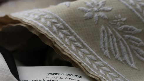 menachem-weinreb-gFIEWe165o8-unsplash.jpg