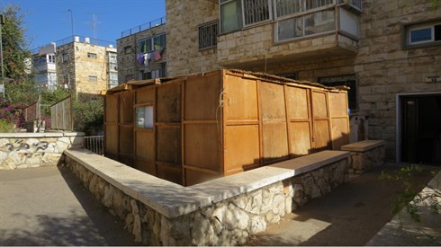 קרדיט לאריה מינקוב (5).JPG
