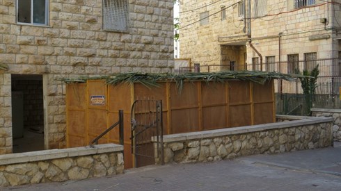 אריה מינקוב