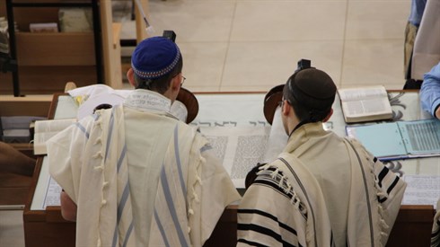אריה מינקוב 1 (28).JPG