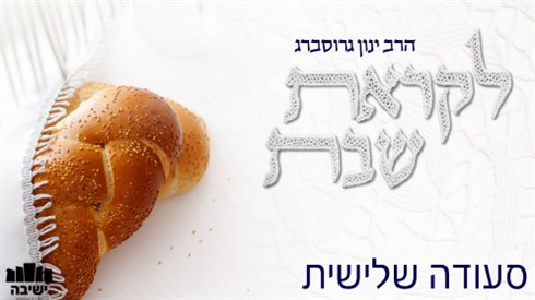 אתר ישיבה / yeshiva.co