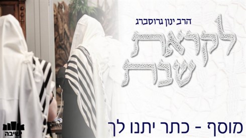 אתר ישיבה / yeshiva.co