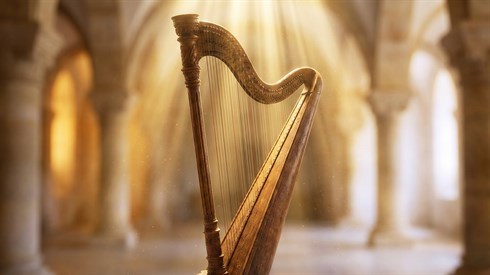 jewish-harp-holy-music-center.jpg