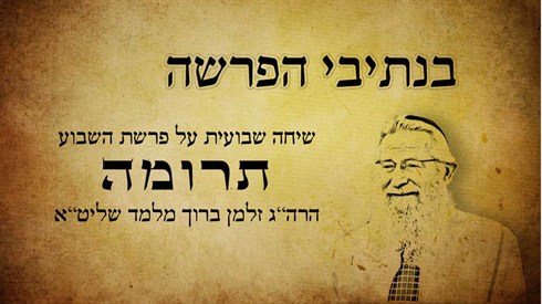 תרומה.jpg