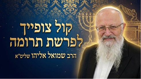 קול צופיך לפרשת תרומה.png