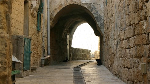 frau_singasong-gate-7033163_1920.jpg