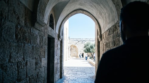 אתר ישיבה / yeshiva.co