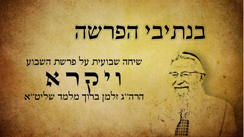 ויקרא.jpg