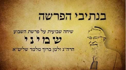 שמיני.jpg