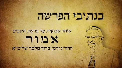 אמור.jpg