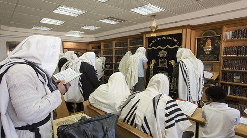 cc-by-sa2.0 Israel_photo_galle y.jpg