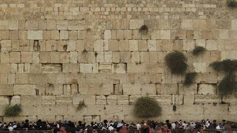 סוכות עה 1 (1).JPG