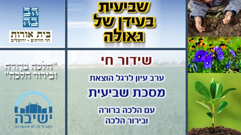 shutterstok, עין טובה