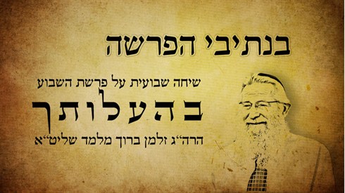 בהעלותך.jpg