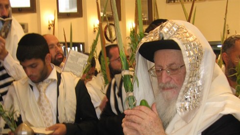 דורון גלבוע.JPG