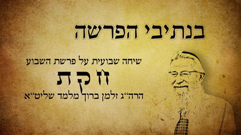 חקת.jpg