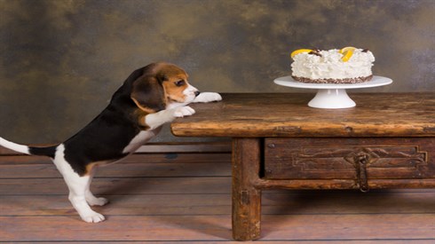 shutterstock_175698908.jpg