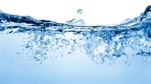 shutterstock_135374738.jpg