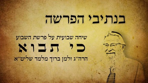 תבוא.jpg
