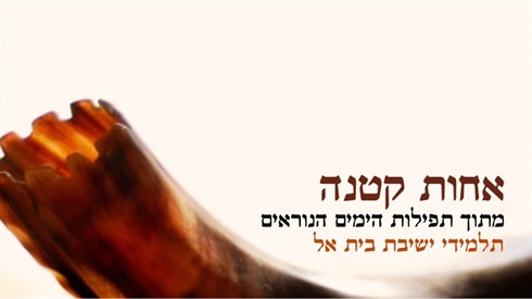 אתר ישיבה / yeshiva.co