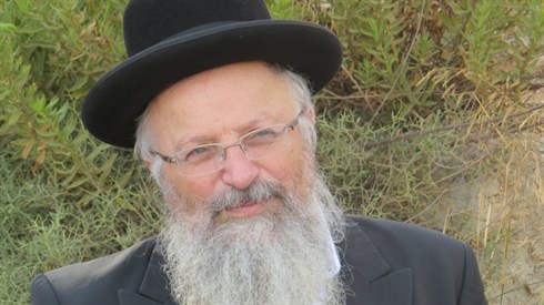 אריה מינקוב (6).JPG