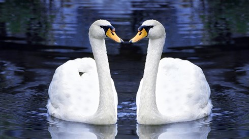 shutterstock_97364285.jpg