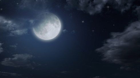 shutterstock_160163729.jpg