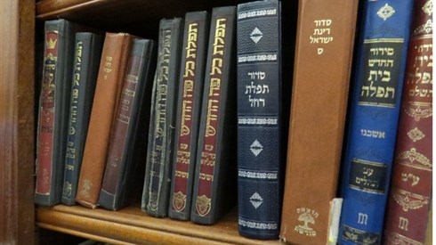 אריה מינקוב (119).JPG