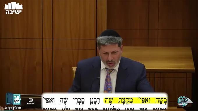 חולין דף מ"ב