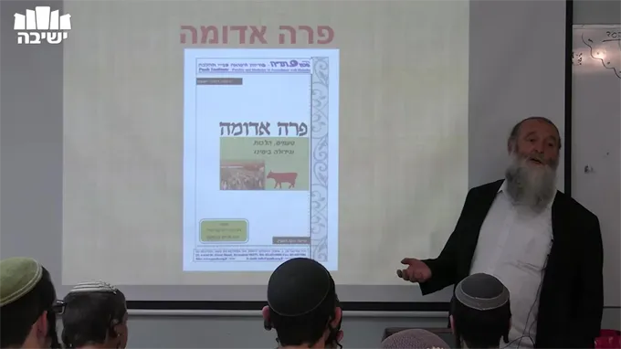 פרה אדומה ורפואה מודרנית