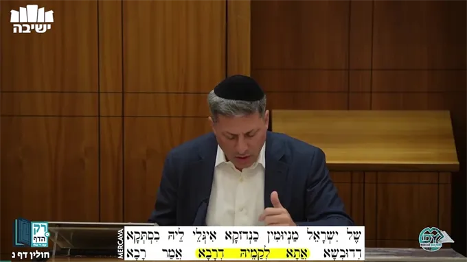 חולין דף נ'