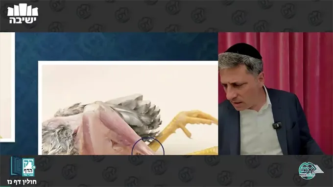 חולין דף נ"ז
